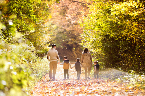 Rise in number of enquiries for wills